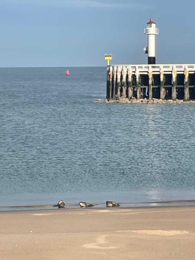 Seaview Penthouse Oostende 외부 사진